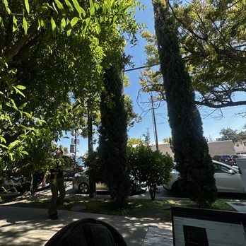 Cafe Dantorels - Outside the patio area - Cafes Near Me - Sacramento, California Cafe Dantorels - Outside the patio area - Cafes Near Me - Sacramento, California