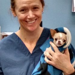 Park Place Veterinary Hospital - Dr. Lang with new puppy