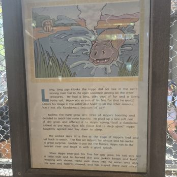 Gorilla Falls Exploration Trail - Amusement Parks Near Me - Lake Buena Vista, Florida
