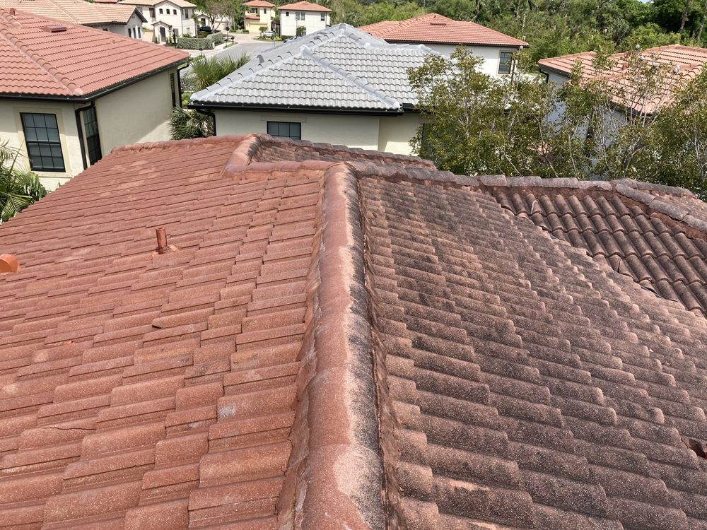 Slide of Skill Roof Cleaning