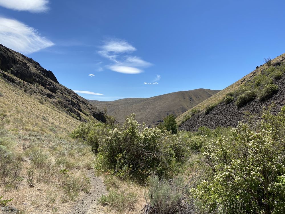 Waterworks Canyon Logo