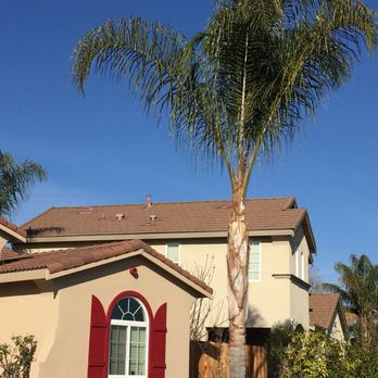 Laguna Tree Service - Tree Services Near Me Laguna Tree Service - Tree Services Near Me