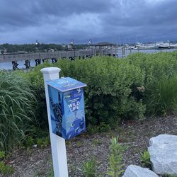 Bay Walk Park The Port North Pier And Nautical Art Musuem