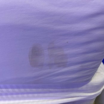 Fantasyland Hotel - Lovely stain on new sheets. - Hotels Near Me - Edmonton, Alberta