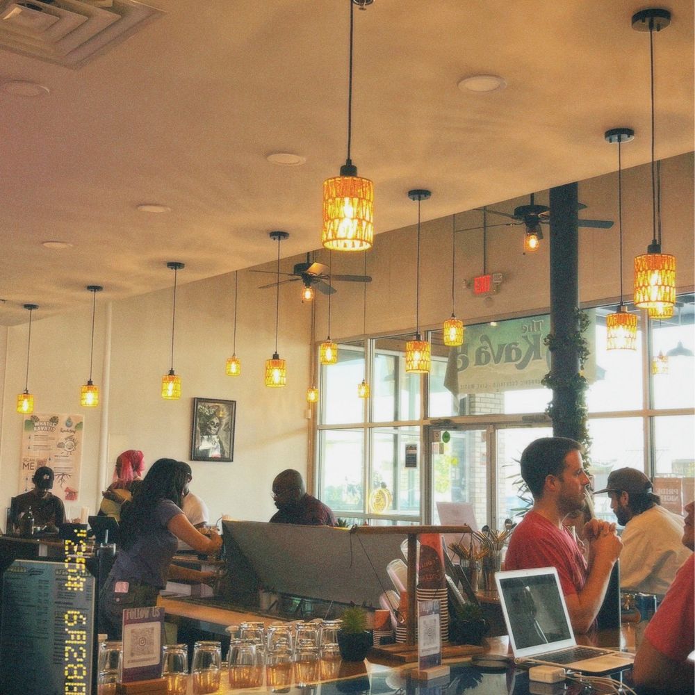 The Kava Bar - bar area - Coffee & Tea Near Me - Dallas, Texas The Kava Bar - bar area - Coffee & Tea Near Me - Dallas, Texas