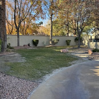 Pancho The Gardener - Before - Artificial Turf Near Me Pancho The Gardener - Before - Artificial Turf Near Me