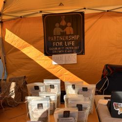 Northville Farmers' Market - Garlic