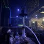 Photo of Dubai Hookah
