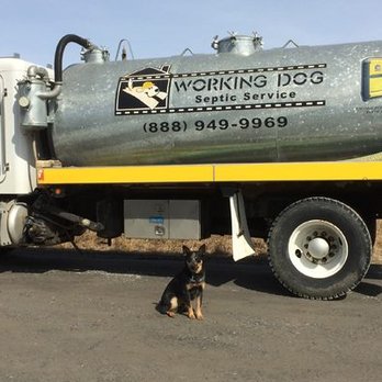 Working Dog Septic Service - Septic Services Near Me Working Dog Septic Service - Septic Services Near Me