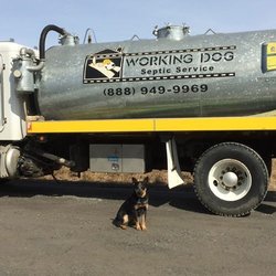 Working Dog Septic Service