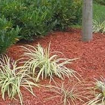 Integra lawns - a red mulch mulch mulch mulch mulch mulch mulch mulch mulch mu - Landscaping Near Me - Crowley, Texas Integra lawns - a red mulch mulch mulch mulch mulch mulch mulch mulch mulch mu - Landscaping Near Me - Crowley, Texas