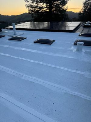 Newhaus Roofing & Construction
