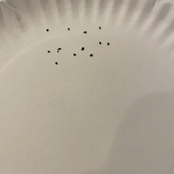 McDonald's - Found in drink