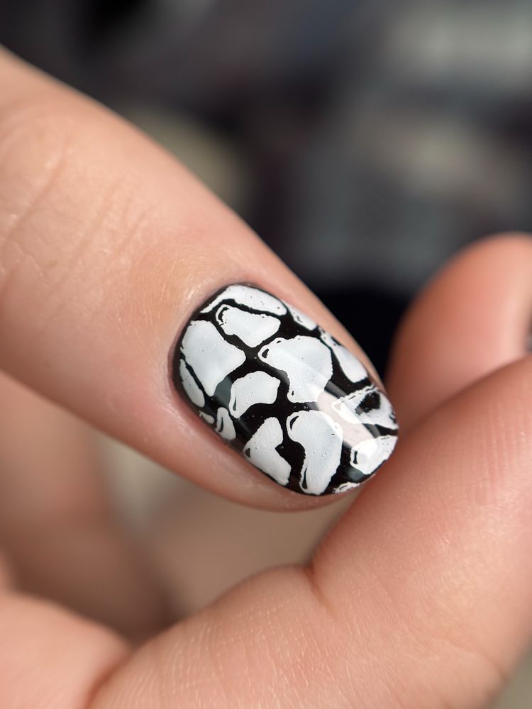 Phoebe’s Nail Studio Logo