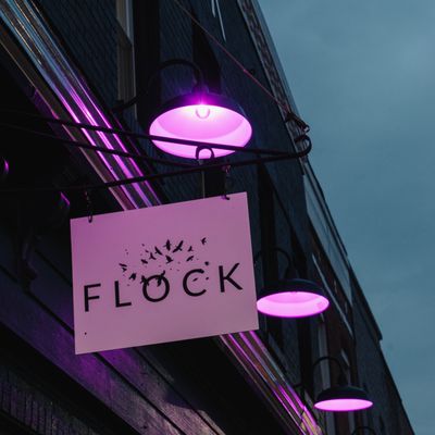 FLOCK by null