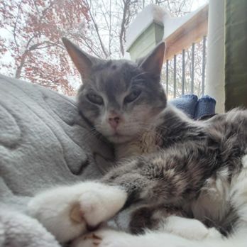 Fish Creek Pet Hospital - Veterinarians Near Me - Calgary, Alberta Fish Creek Pet Hospital - Veterinarians Near Me - Calgary, Alberta