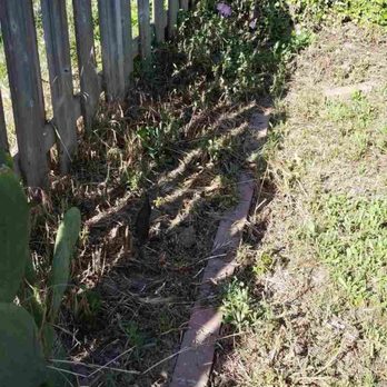 The Weed Solution - Before: weeds - Landscaping Near Me