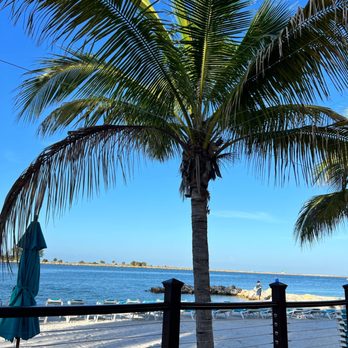 Shephard's Beach Resort - View of private beach ! Paradise - Resorts Near Me - Clearwater Beach, Florida Shephard's Beach Resort - View of private beach ! Paradise - Resorts Near Me - Clearwater Beach, Florida