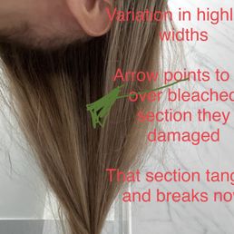 Back of hair highlights