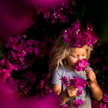 Sea Level Photography - Session Photography Near Me