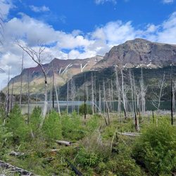 Sun Point & Three Falls Trail