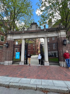 Harvard University by null