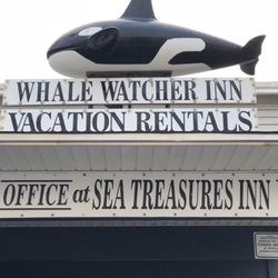 Whale watcher inn