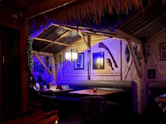 The Jungle Bird by null