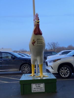 White Fence Farm by null