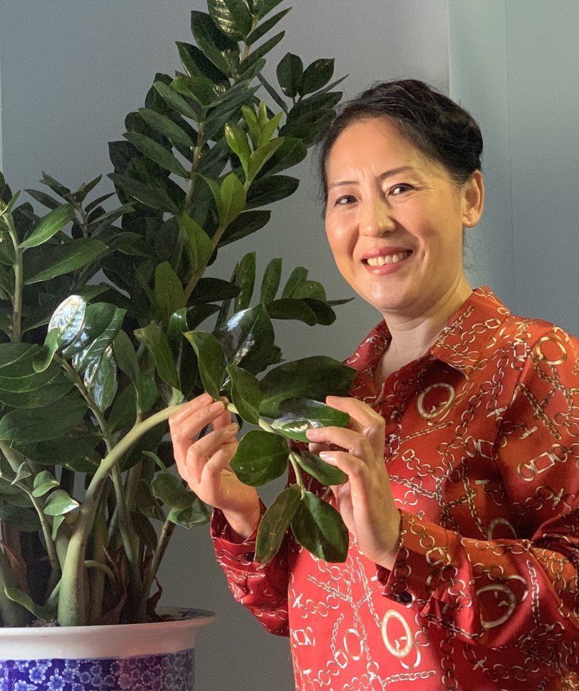 MEDICO MASSAGE Updated September 2024 11 Photos 6201 Veterans