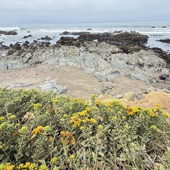 Moonstone Beach Boardwalk - Beaches Near Me Moonstone Beach Boardwalk - Beaches Near Me