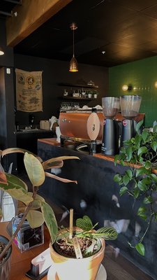 Armistice Coffee Eastlake by null