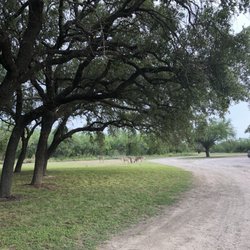 Fort Clark Springs Assn - Beautiful shade trees and open areas