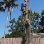 Photo of Javier Landscaping