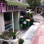 Photo of Lotus Çiçekçilik