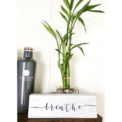 Practice Yoga Studio - Come breathe with us.