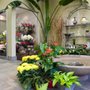 Photo of Caprice Floral