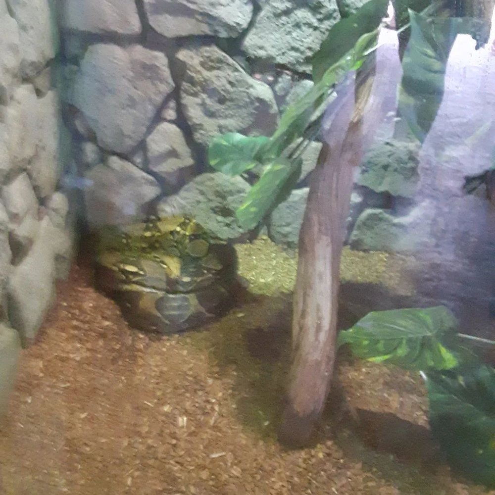 Texas State Aquarium - Aquariums Near Me - Corpus Christi, Texas Texas State Aquarium - Aquariums Near Me - Corpus Christi, Texas