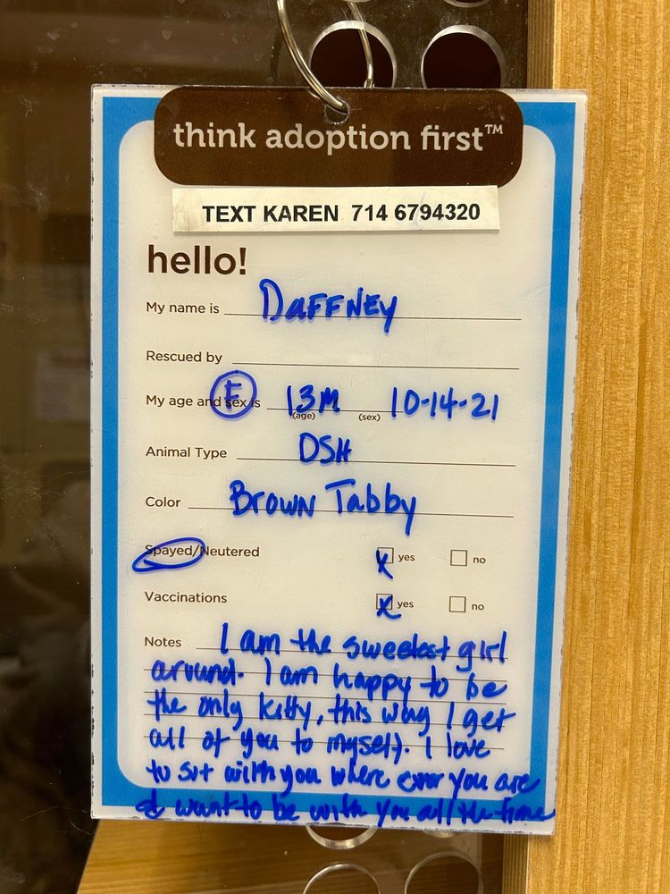 MEOOWZRESQ Updated September 2024 49 Photos & 111 Reviews Orange