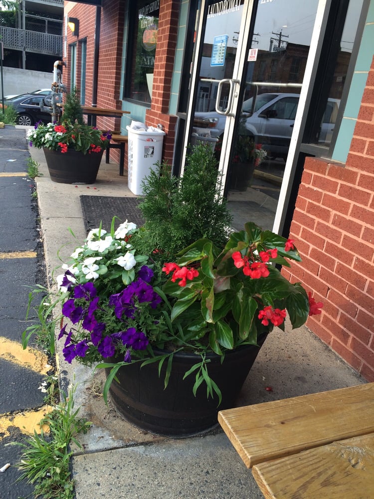 FEDERAL HILL LAUNDROMAT Updated June 2024 11 Photos & 51 Reviews 1200 S Hanover St