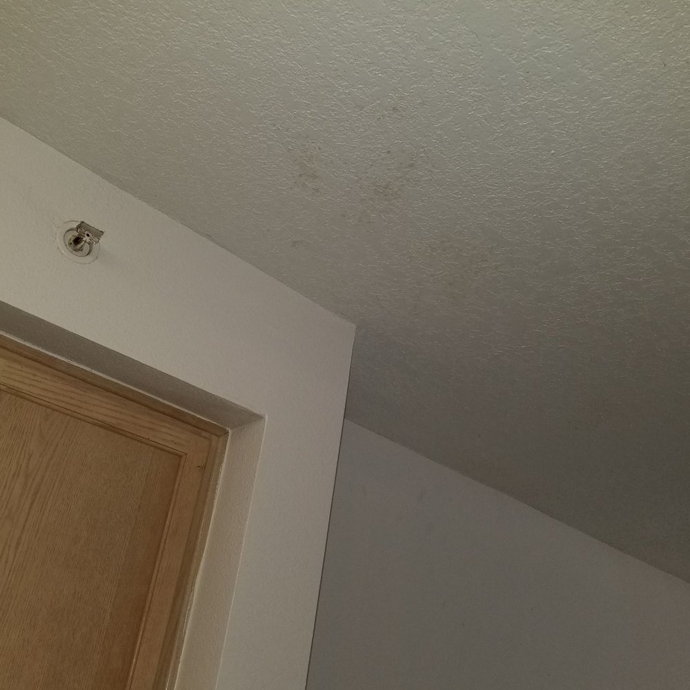 Cypress Oaks Apartments - More mold - Apartments Near Me - Leesburg, Florida Cypress Oaks Apartments - More mold - Apartments Near Me - Leesburg, Florida