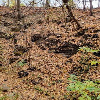 Walhalla Ravine - Shale in Walhalla Ravine - Landmarks & Historical Buildings Near Me - Columbus, Ohio Walhalla Ravine - Shale in Walhalla Ravine - Landmarks & Historical Buildings Near Me - Columbus, Ohio