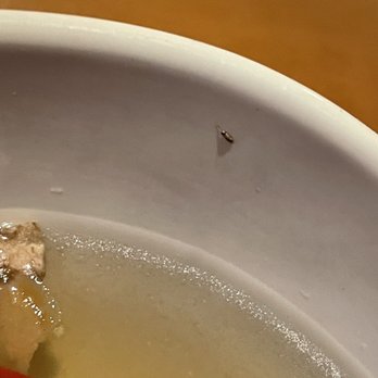 A1 Japanese Steakhouse - This was a bug found in a soup bowl. - Japanese Near Me - Allentown, Pennsylvania A1 Japanese Steakhouse - This was a bug found in a soup bowl. - Japanese Near Me - Allentown, Pennsylvania