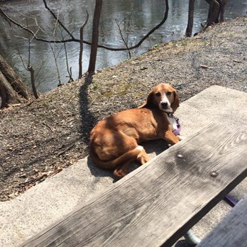 Jonestown KOA - Basking in the sun - late March, Easter Weekend - Campgrounds Near Me - Jonestown, Pennsylvania