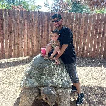 Micke Grove Zoo - Zoos Near Me - Lodi, California Micke Grove Zoo - Zoos Near Me - Lodi, California