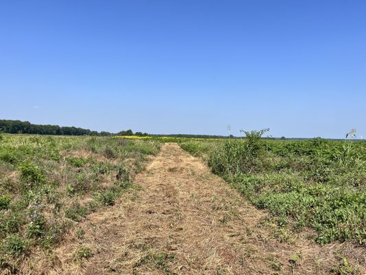 Columbia Bottom Conservation Area by null