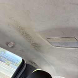 Airport Shuttle of Phoenix - The headliner of the car.