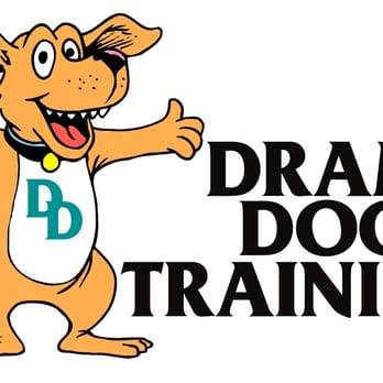 Drama Dog Training - Pet Training Near Me