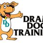 Photo of Drama Dog Training
