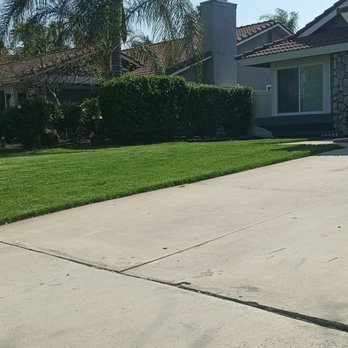 Diego’s Landscaping & Tree Care Services - Landscaping Near Me Diego’s Landscaping & Tree Care Services - Landscaping Near Me